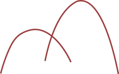 Bogong Village Icon
